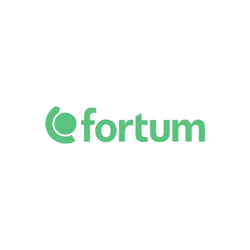 Fortum Energia dla firm
